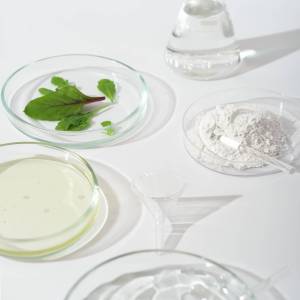 Palmitic Acid