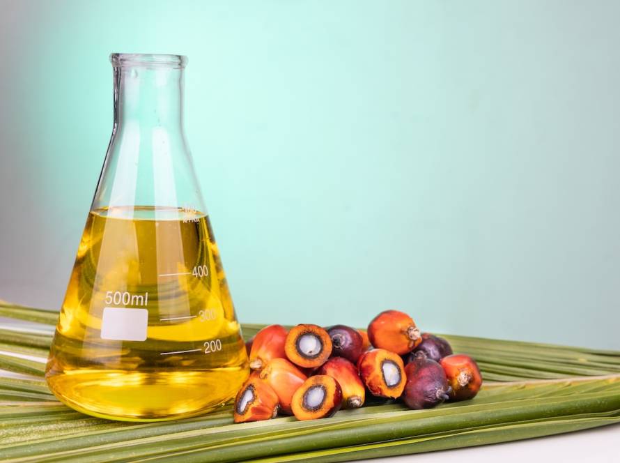 Palm Oil